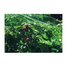 MALLA ANTI-PAJARO 4X12M VERDE