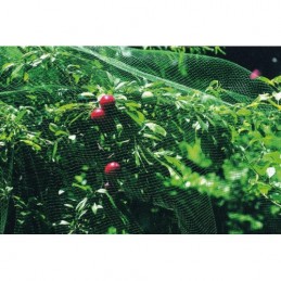 MALLA ANTI-PAJARO 8 X 10 M...