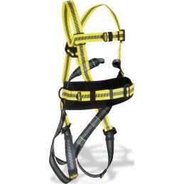 ARNES STEELTEC-1 DORSAL...