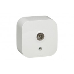 BASE TV IP21 FORIX