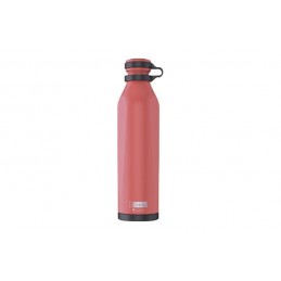 BOTELLA TERMO INOX EVO...